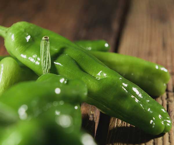 Serranos